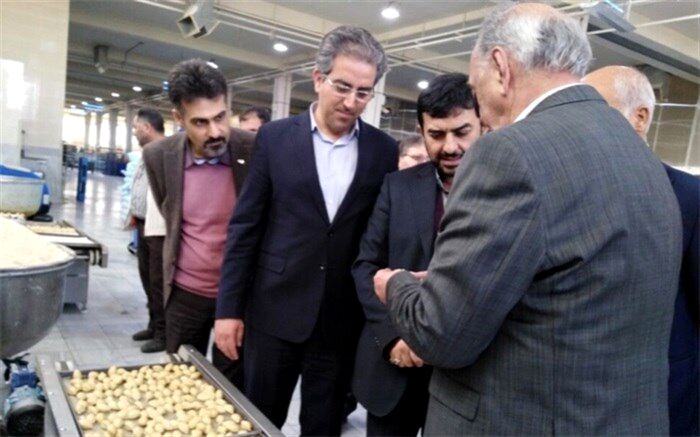 قائم مقام وزیر صنعت از سه واحد تولیدی در یزد بازدید کرد