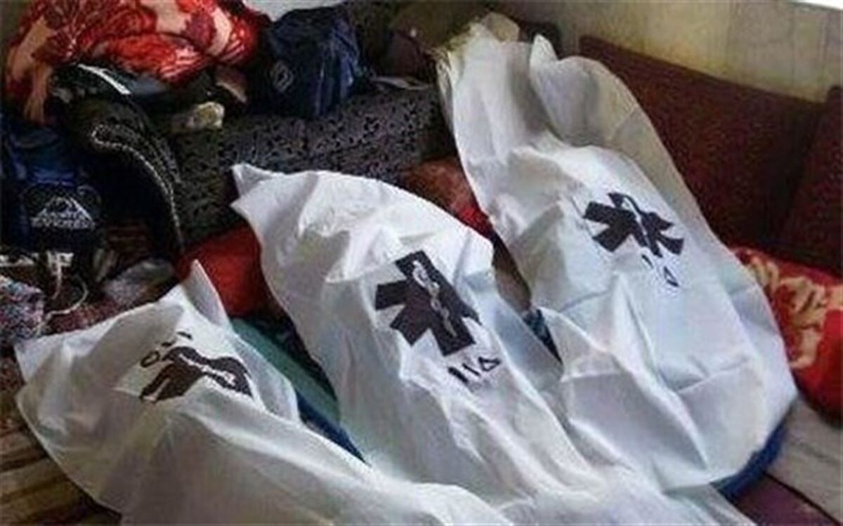 گازگرفتگی در کهگیلویه و بویراحمد جان ۳ نفر را گرفت