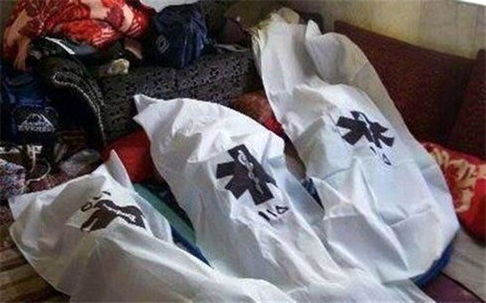 گازگرفتگی در کهگیلویه و بویراحمد جان ۳ نفر را گرفت