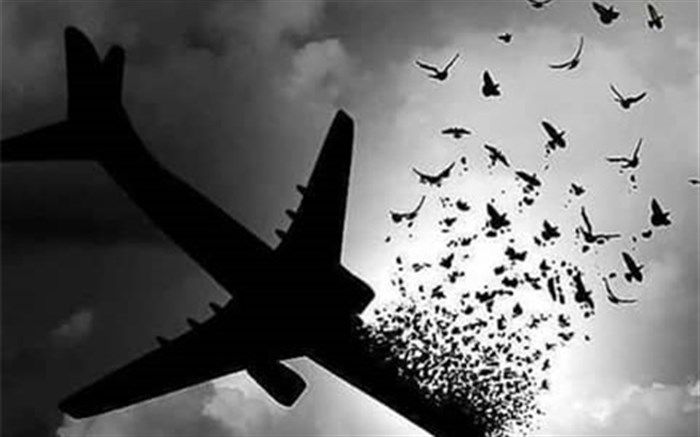 پیام تسلیت استاندار کهگیلویه و بویراحمد در پی درگذشت  نخبه هم استانی  در سقوط هواپیمای مسافربری تهران _ کی یف