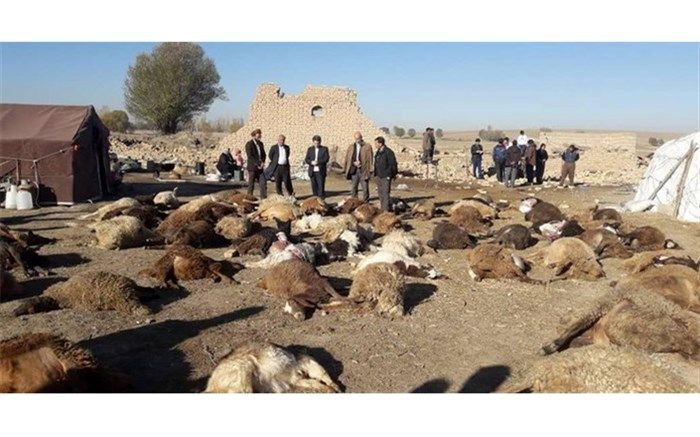 خسارت ۱۸۰ میلیارد تومانی زمین‌لرزه به بخش کشاورزی میانه و سراب