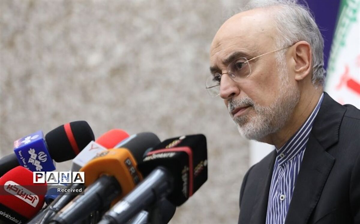 پیام تسلیت رئیس سازمان انرژی اتمی در پی درگذشت آیت الله رسولی محلاتی