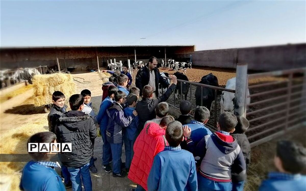 بازدید دانش آموزان کلاس پنجم دبستان حضرت قاسم از یک مجتمع دامپروری
