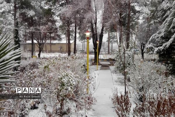 بارش نخستین برف زمستانی در شیراز