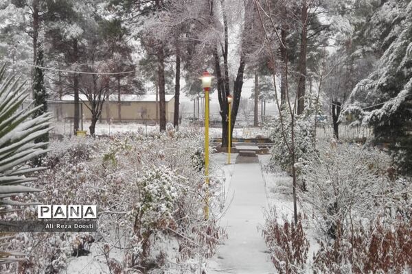 بارش نخستین برف زمستانی در شیراز