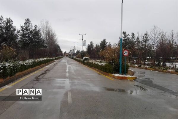بارش نخستین برف زمستانی در شیراز