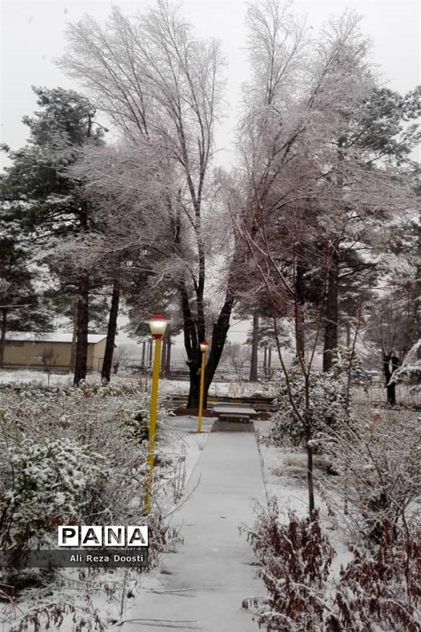 بارش نخستین برف زمستانی در شیراز