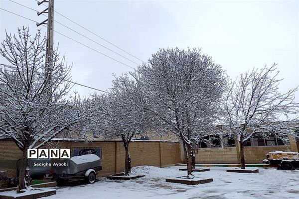 بازی کودکانه دانش‌آموزان منطقه ارژن در شادی بارش برف