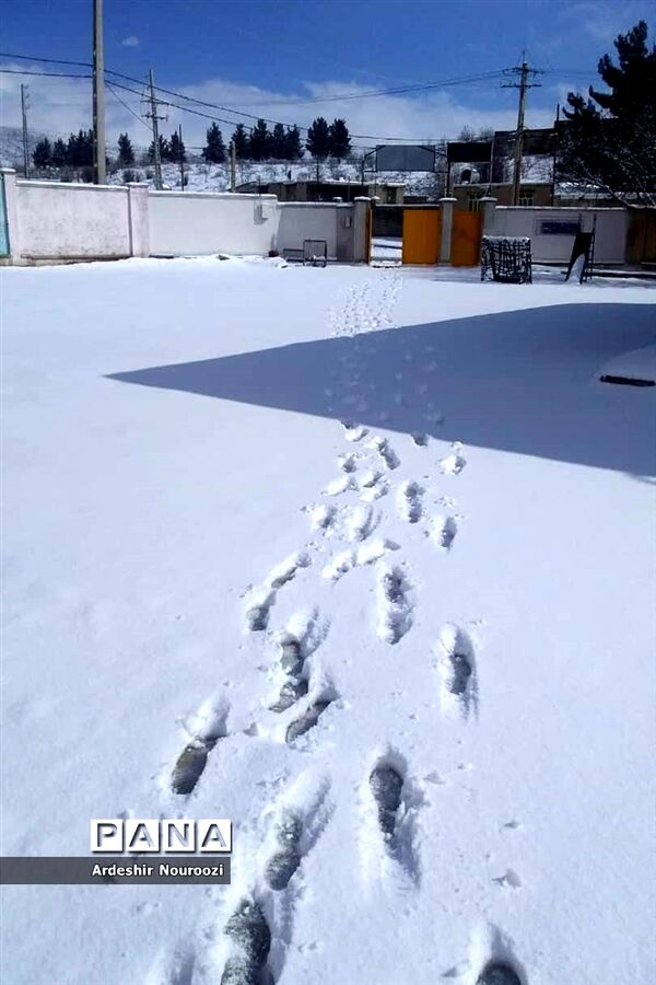 بازی کودکانه دانش‌آموزان منطقه ارژن در شادی بارش برف