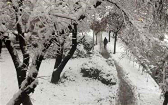 لباس سفید زمستان بر تن کویر یزد + فیلم