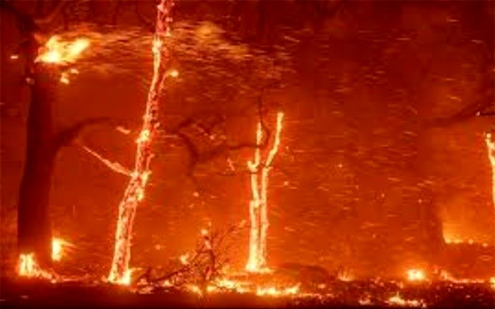 آتش‌سوزی‌های بزرگ جهان در سال‌های ۲۰۱۸ و ۲۰۱۹+ اینفوگرافیک