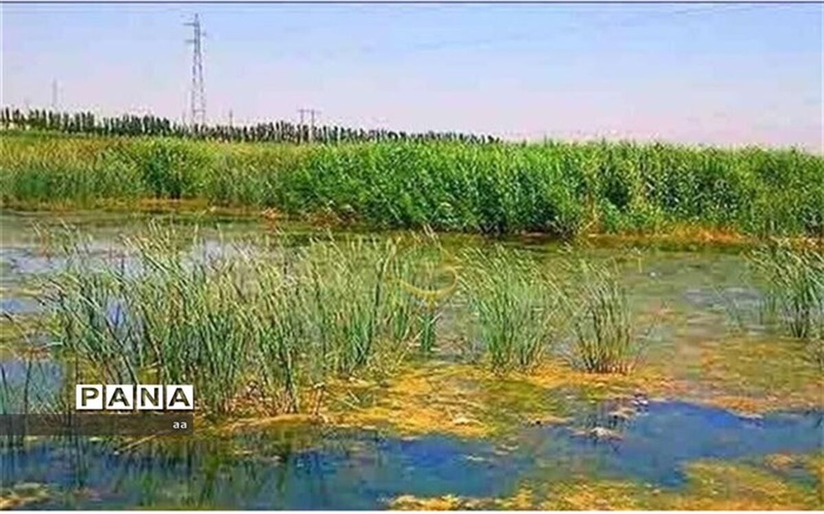 بیشه دالان ظرفیتی مطلوب برای رونق اکوتوریسم بروجرد