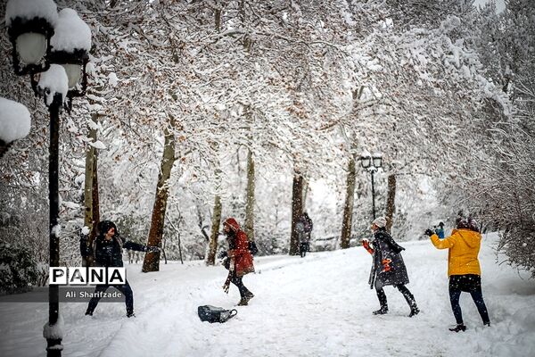 بارش برف زمستانی در تهران