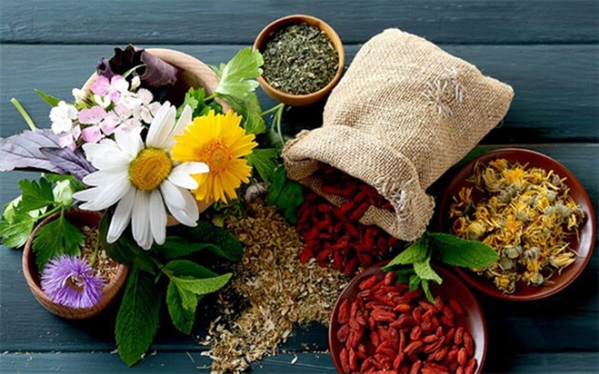 اولویت‌های پژوهشی در طب سنتی ایرانی کدامند؟