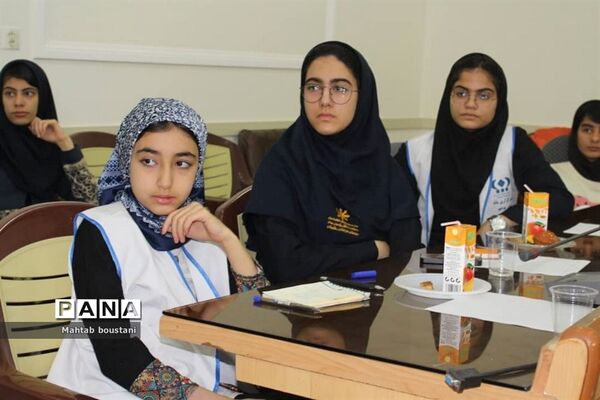 کارگاه آموزش خبرنگاری ویژه خبرنگاران پانا دشتستان