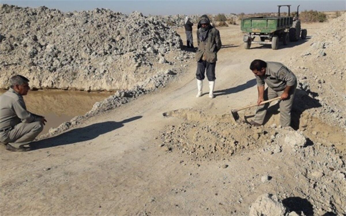 احیاء پوشش گیاهی تالاب هامون با هدایت آب به کانون های گرد و غبارسیستان