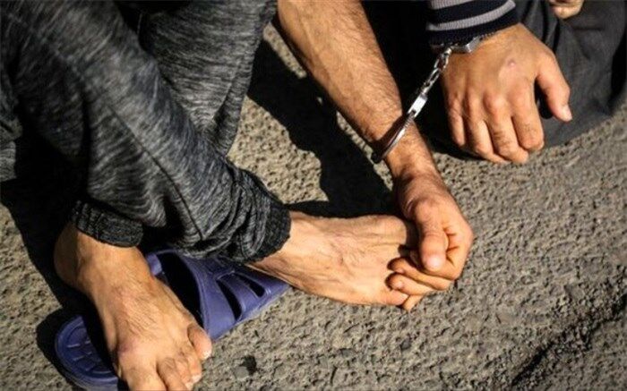 تعیین تکلیف 4600 فقره سرقت در پایتخت