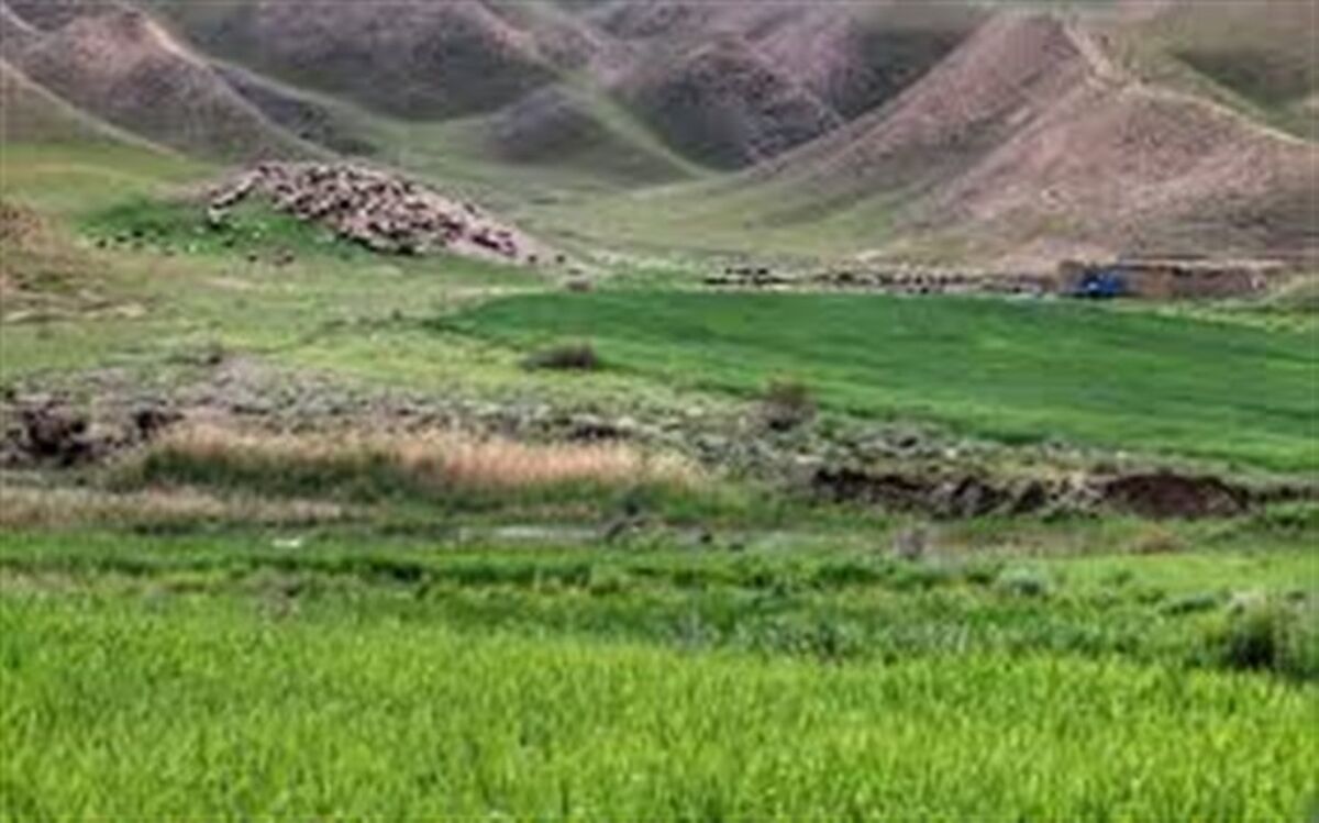 پروانه فعالیت مرتع‌داران کاشانی با هولوگرام ساماندهی می شود