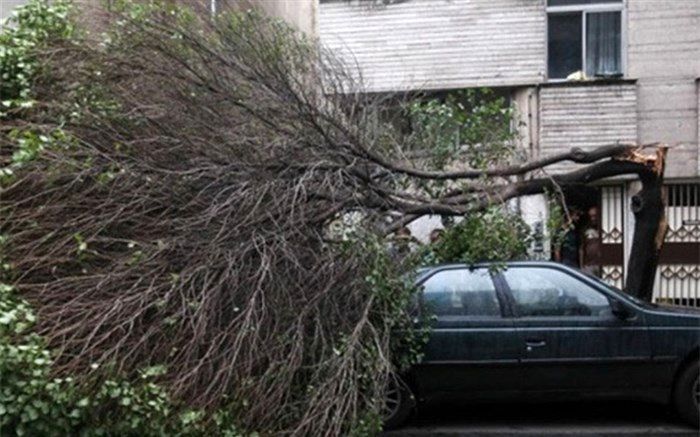 هشدار مدیریت بحران استان در خصوص وزش بادهای شدید و کاهش دما در استان زنجان