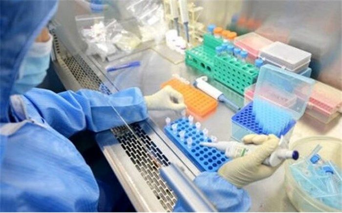 سرمایه گذاری 12 میلیون یورویی سرمایه گذار روسی در سمنان