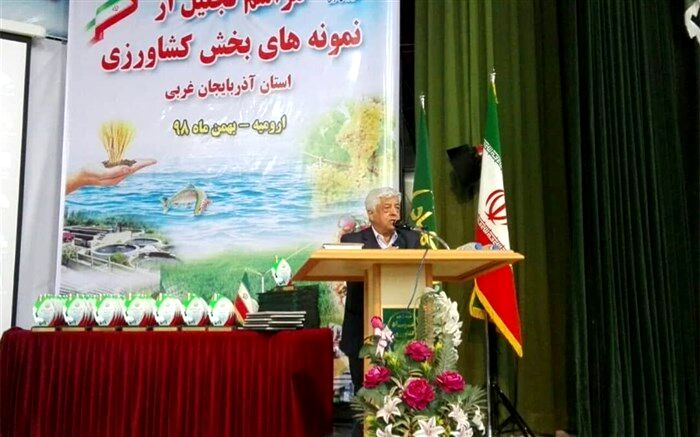 توسعه کشت گلخانه‌ای راهکار ایجاد اشتغال پایدار در بخش کشاورزی است