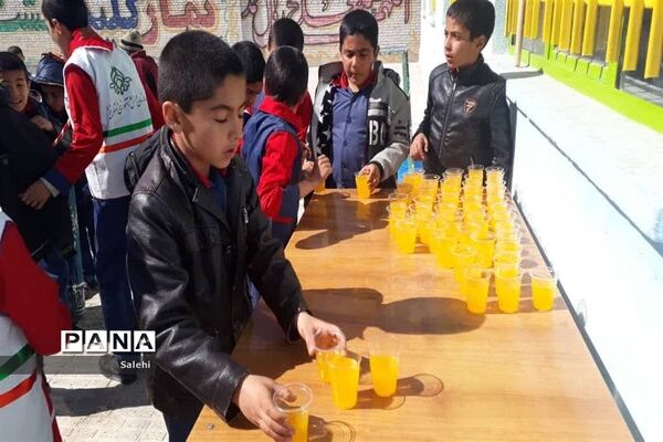 جشن  انقلاب در دبستان شهید رجایی مهردشت ابرکوه