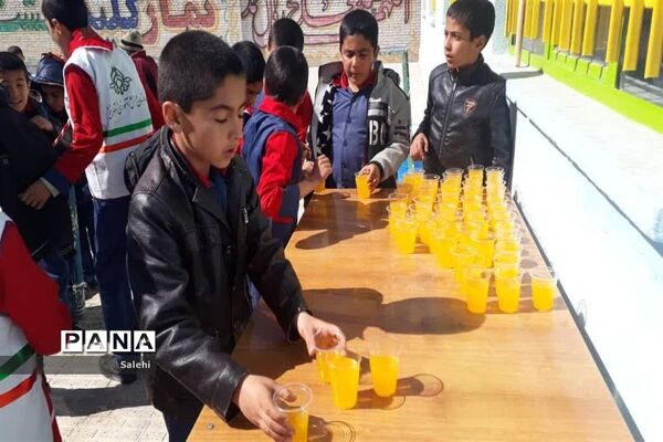 جشن  انقلاب در دبستان شهید رجایی مهردشت ابرکوه