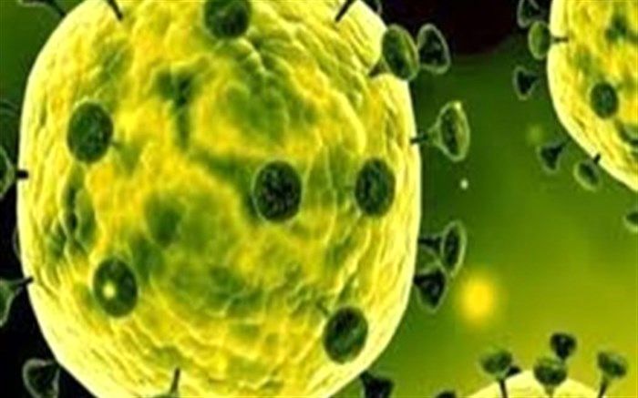 هیچ موردی از بیماری کرونا در سمنان گزارش نشد