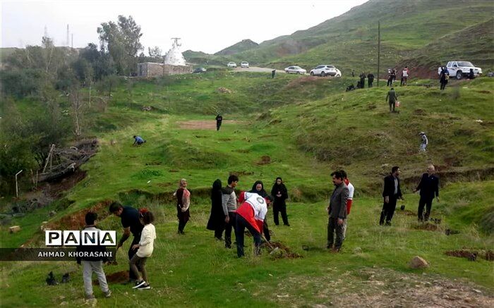فعالان گردشگری نوش آباد در طرح جنگلانه شرکت کردند