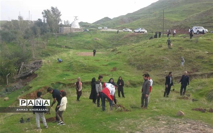 فعالان گردشگری نوش آباد در طرح جنگلانه شرکت کردند