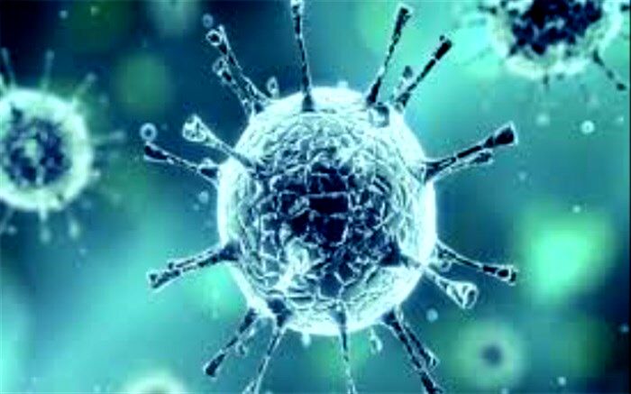 ویروس مهلک شایعه