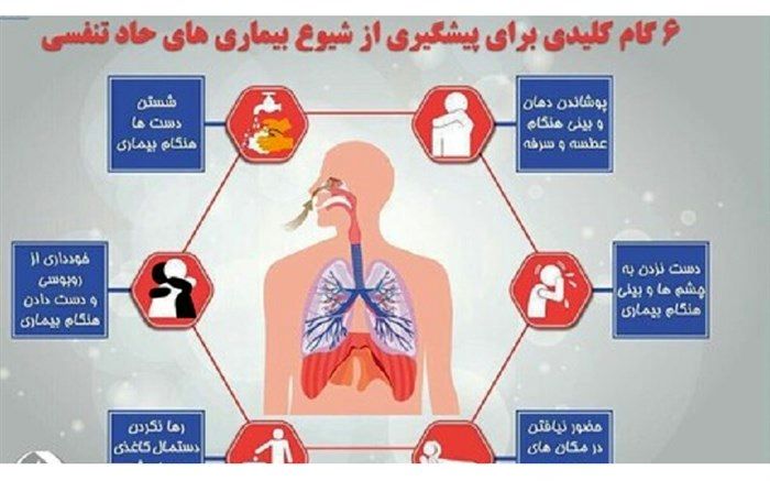 برگزاری دوره ضمن خدمت راه‌های پیشگیری از بیماری‌های تنفسی در استان ایلام