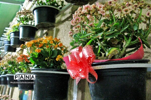آثار دستی روستاهای برگزیده کاشمر در فروشگاه روستا