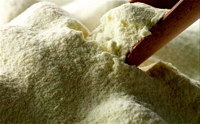 صادرات شیرخشک مجوز گرفت