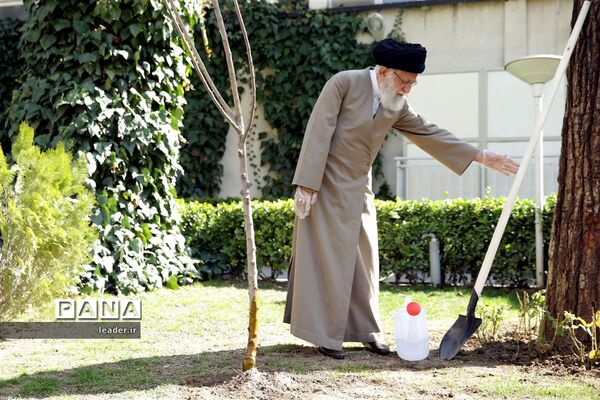 کاشت دو اصله نهال میوه توسط رهبر انقلاب اسلامی
