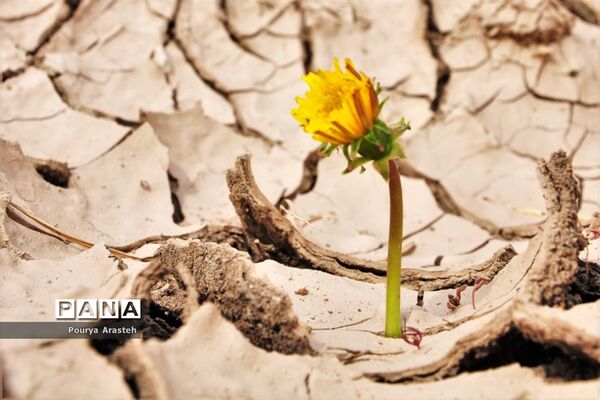 صدای پای بهار درشهرستان خوسف استان خراسان جنوبی
