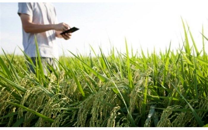 باید و نبایدهای کشاورزی ایمن در فصل کرونا
