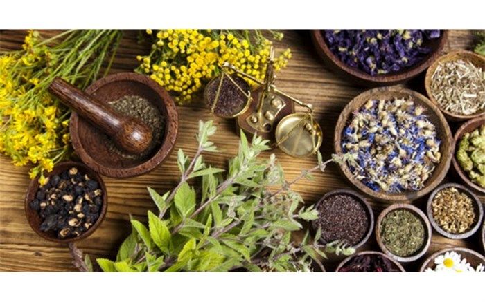 توسعه کشت گیاهان دارویی در آذربایجان غربی