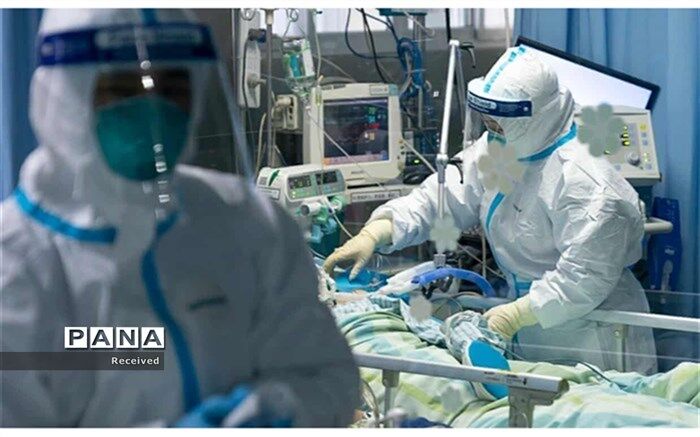شناسایی ۳۳ مورد جدید ابتلا به کروناویروس در استان فارس