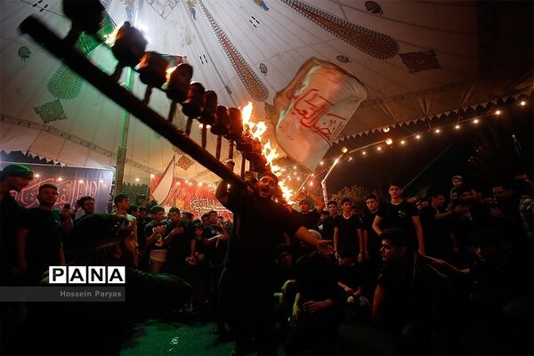 عکس های منتخب سال 98