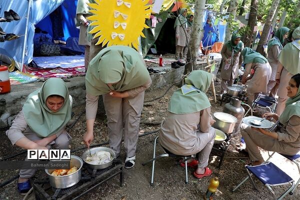 عکس های منتخب سال 98