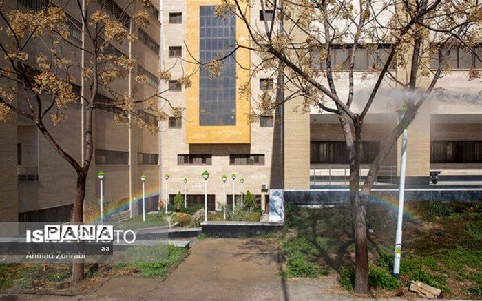 قرنطینه خوداختیاری، بهترین راه‌های پیشگیری از ابتلا به کرونا ویروس