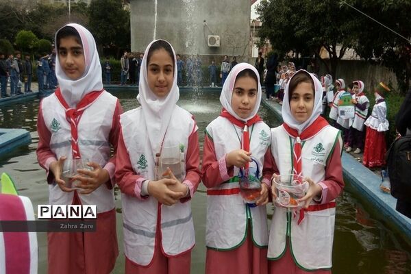 عکس‌های منتخب سال 1398 استان مازندران