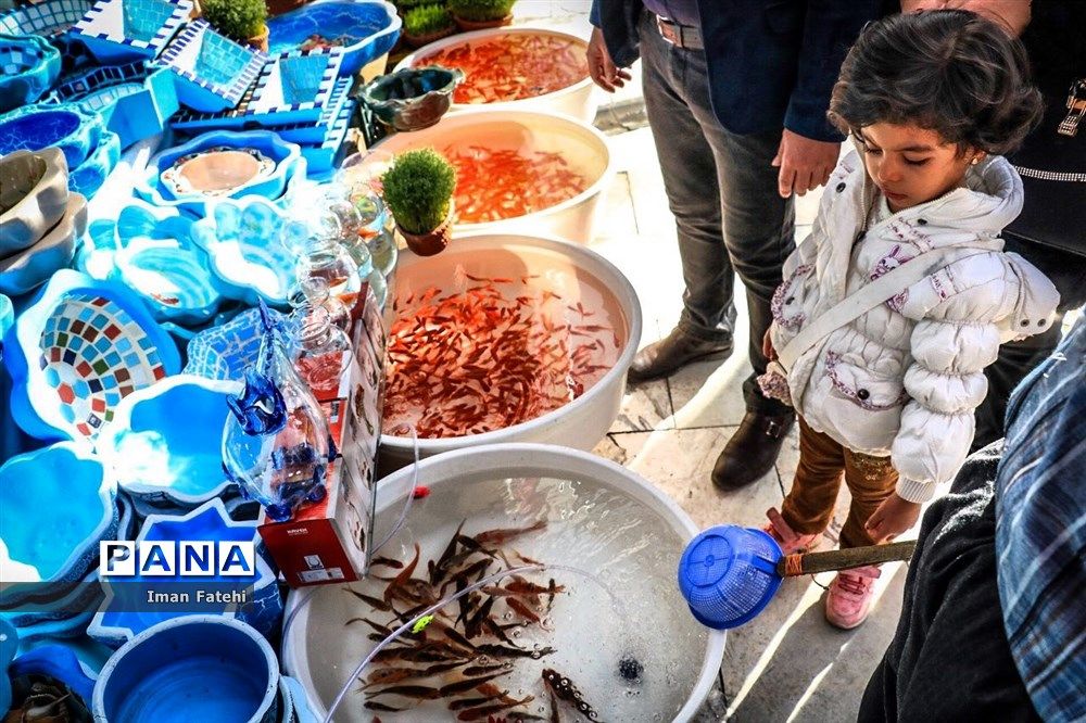 ویروس کرونا در ماهی قرمز بیماری‌زا نیست