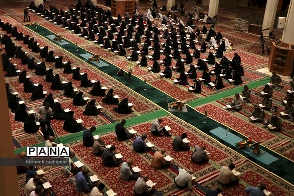 عکس‌های منتخب سال 1398 استان  فارس