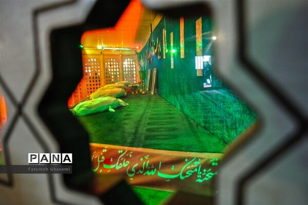 عکس‌های منتخب سال 1398 استان  فارس
