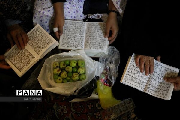عکس‌های منتخب سال 1398 استان  فارس