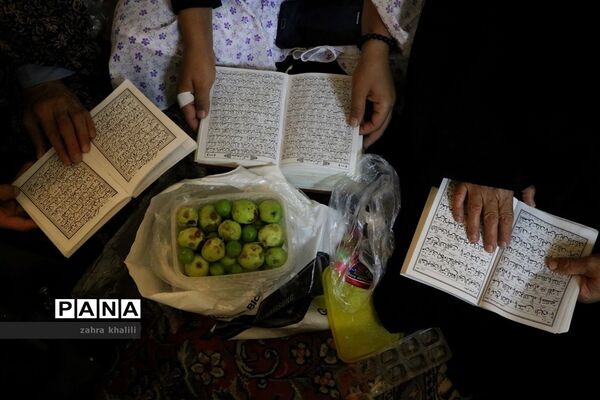 عکس‌های منتخب سال 1398 استان  فارس