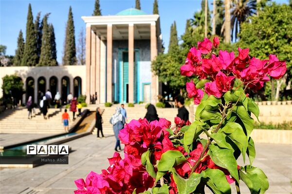 عکس‌های منتخب سال 1398 استان  فارس