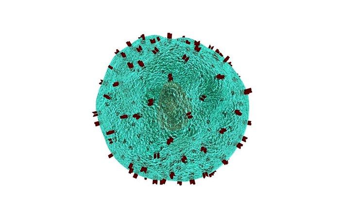 درمان سرطان پوست با حذف یک تنظیم‌ کننده